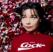 Enjoy C*ck 90s Björk Baby Tee