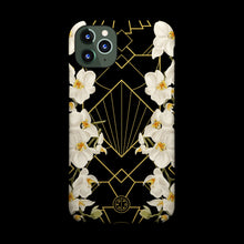 The Great Gatsby Case